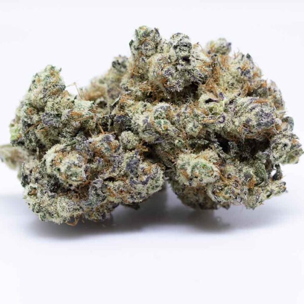 white truffle cactus strain - Premium reserve - Flower