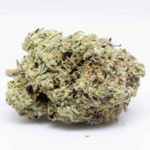 Donny Burger Strain - premium reserve - flower