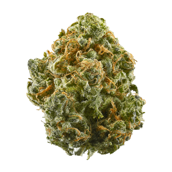 blue dream strain blue dream marijuana